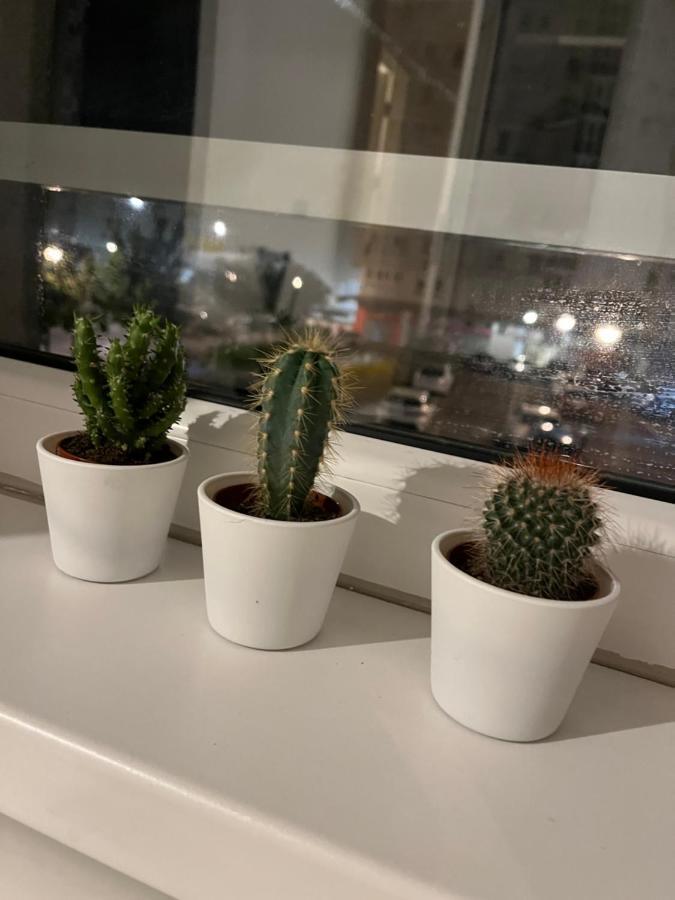 Studio Ana Belville Beograd Eksteriør billede